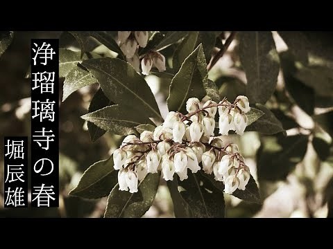 朗読 堀辰雄『浄瑠璃寺の春』