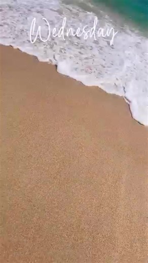 Do u kno me (@dou.knome)’s videos with original sound - cellaking