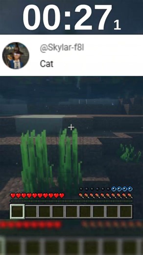 Running in a Straight Line Until I Find a Cat in Minecraft!🐱