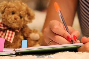 Teddy Bear Videos, Download The BEST Free 4k Stock Video Footage & Teddy Bear HD Video Clips