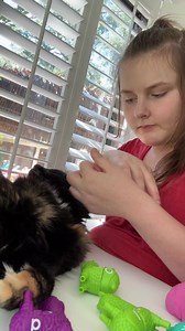 Autistic stimming on the cat | FatheringAutism