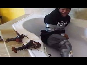 Perfectly Cut Screams 9