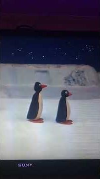 Pingu runs away part 4