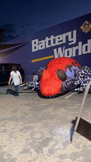 Look how lot people are gathering to see Oriental Fire Bellied Toad #mackay #fypシ゚viralシfypシ゚ | Bing's NOMIYA-Japanese Cuisine Victoria street