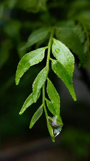 Mobile Photography Tricks🔥| Pro photography tutorial #photographyguide #photographytutorial