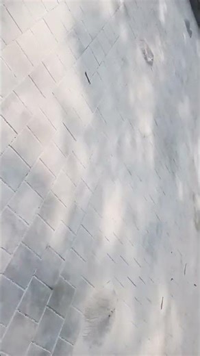 pavers fixing #automobile #beautifulfolksong #comedydance #folk #construction #danceperformance