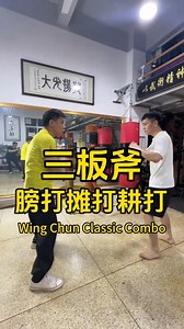 Master This Wing Chun Classic Combo in Seconds⚡👊 #WingChun #KungFu #MartialArts #ChineseKungFu #WingChunTraining #SelfDefense #TraditionalKungFu #ClassicCombo #KungFuMoves #MartialArtsTraining | Foshanstyle