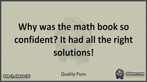 Quality - Jokes, Puns, Wordplays, and Laughter