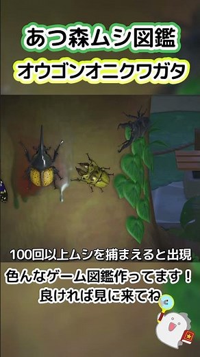 【あつ森】ムシ図鑑 オウゴンオニクワガタ編💰✂
