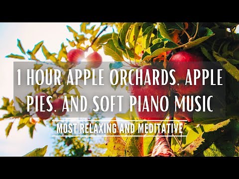 Autumn Ambience Apple Trees Meditation Music | Pies, Orchards, Piano