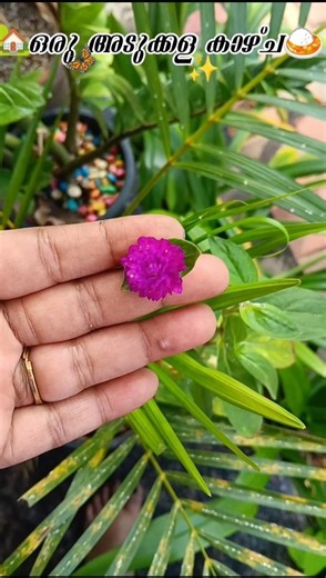 അടുക്കളക്കാഴ്ച#shortsfeed#cooking#minivlog#vlogs#vlogger#viral#trend#homemade ‪@My_Haven_Castle‬