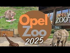 Visiting Opel Zoo 🦒 | Kronberg, Germany 🇩🇪 #zoo #animals