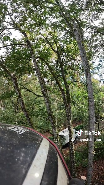 Bucket truck removal #fyp #stihl #chainsaw #foryou #rigging #hazardous #bigtree #foryoupage #professional #treeclimber #buckettruck #heights #dangerous #job #bluecollar #work #treeservice #arborist #treework #treeremoval #treecutting #gopro #diy #mufflermod #westcoastsaw