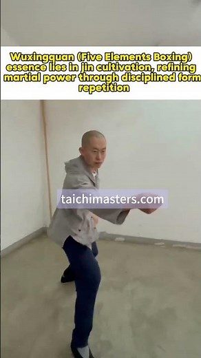 Five Elements Fist: The Core of Xing Yi Quan | Complete System Analysis | Master Mo