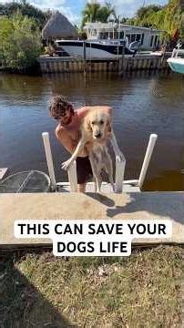 HOW TO Build a Floating Dock DIY #fishing #dock #Boat #dog #diy #shorts #fyp