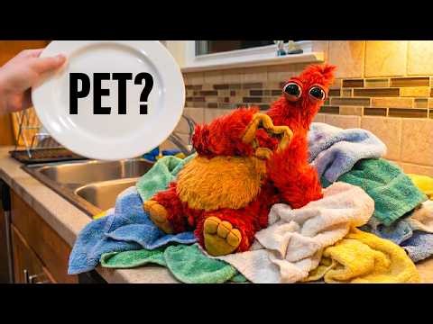 ✨ Living with a CHUM in Real Life! You won't believe he’s actually here 🏠😲 | POPPY PLAYTIME