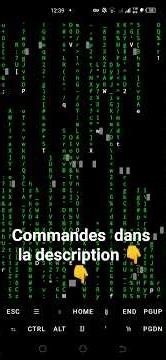 Transformez votre terminal en Matrix ! (Tutoriel Complet Termux / PC) #termux #linux # Matrix #Tech