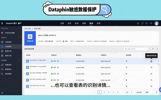 【Dataphin实操演示】数据安全②敏感数据保护