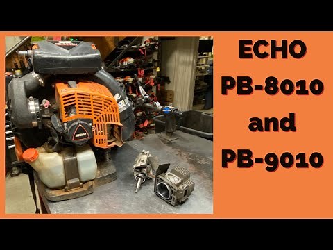 ECHO PB-8010 and PB-9010 COMMON PROBLEMS/REVIEW