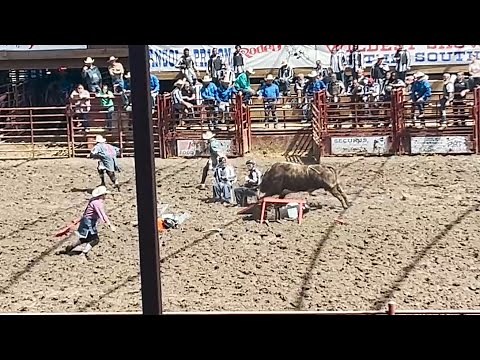 The Angola Prison Rodeo "Convict Poker" event