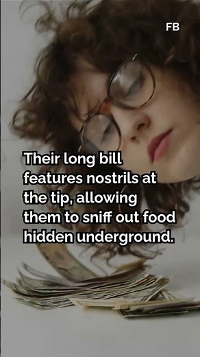 Unbelievable Facts That Make the Kiwi Bird Truly One of a Kind