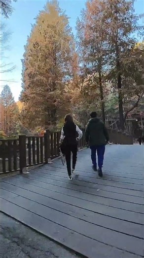 [Vlog] Jangtaesan Recreational Forest: A Solo Trip, a Small Happiness Found on the Suspension Bri...