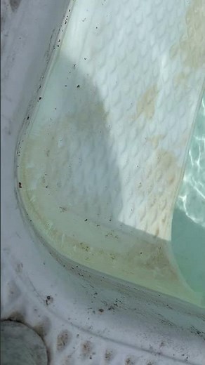 Watch how fast vitamin C will lift a stain in your pool like a miracle