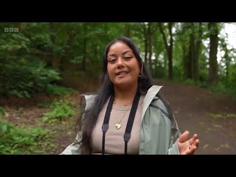 Springwatch 2025 - Parakeets in Sheffield