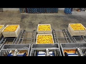 Post Harvest Technologies