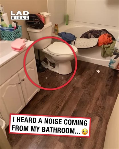 Unexplained Noises in the Bathroom: What to Do