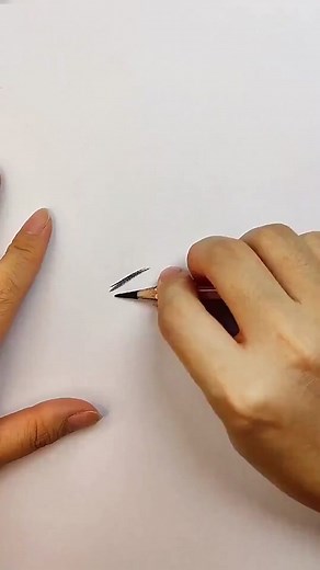 How to Draw a Shrimp - Step by Step Guide