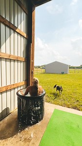 ❄The Ice Pod❄ – your ultimate solution to cold water therapy anytime, anywhere. 🙋‍♂️ Join 200,000 happy cold plungers! Get yours today! ⬇ | The Pod Company