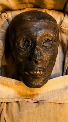 🔥#TIMELAPSE: START to FINISH Alone BUILD LOG Cabin(Wooden House) How To Build Wooden Cabin Surviva