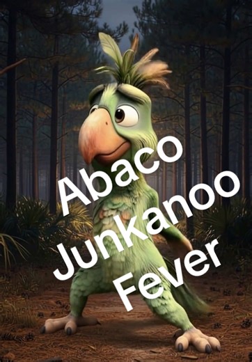 Abaco parrot Junkanoo Dancer #bahamas #nassau #junkanoo