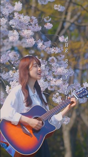 「CHE.R.RY/YUI」弾き語り歌ってみた