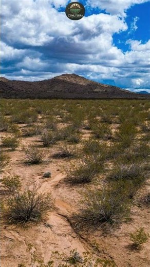 land for sale in mohave county arizona | apn 333-18-276