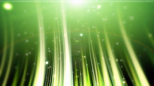 Earth Rangers travels to elementary schools across Canada with our live animal ambassadors, like Stewie the Ring-Tailed Lemur, teaching students about conservation and inspiring them to take action for animals and the environment. To get your child involved, visit earthrangers.com and sign them up for our free membership program! | Earth Rangers