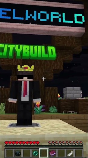 Ist DAS ein guter Minecraft-Server?