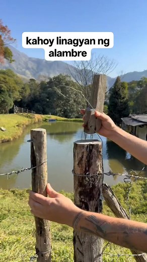 173K views · 352 reactions | #diy #wood #wire #bakod | Shiela Caluya | Facebook