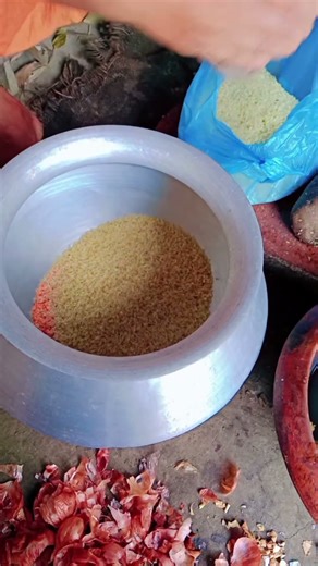 পিকনিক💖#video #viral #viralvideo #viralshorts #viralshort #shortvideo #shortsvideo #short#fyp#love