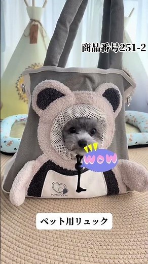 【お出かけ】これ、ペット用なの！？😳 roomert の「おしゃれすぎるキャリーバッグ」で愛犬とカフェデート。🐾☕✨ #ペットキャリー #犬とお出かけ #犬のいる暮らし#ペット用品 #チワワ #PR