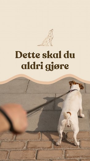 Å rykke i båndet er ikke greit ✋ Du må gjerne stoppe hunden fra å gjøre feil, men du kan ikke bli voldelig og rykke til i nakken på hunden. #hund #dog #dogtrainer #valp #puppy | Hundetrener Maren