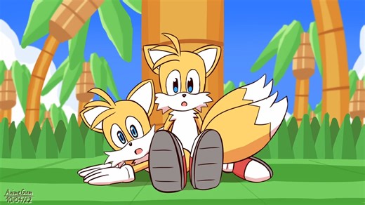 【同人动画中英双字】 Sonic and Tails and Tails
