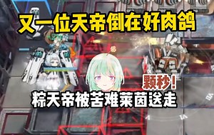 粽子被苦难莱茵卫士送走，迷迭香被炮兵一枪颗秒！【Zc好肉鸽】