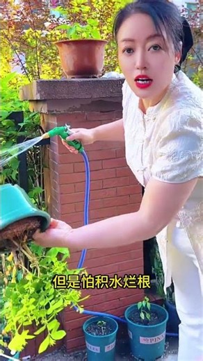 Master the Art of Growing Jasmine - Flower Care Tips