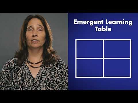 Emergent Learning Overview
