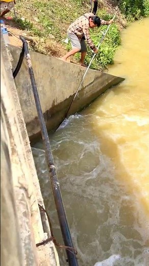 Real Life 100% Net Fishing In River At The Countryside (Part 1539) #fishing #fish #new