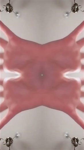 17 лютого 2026 р.