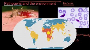 Pathogens and the environment