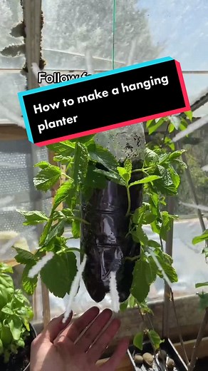 DIY Hanging Bottle Planter: Upcycle Your Old Water Bottles!